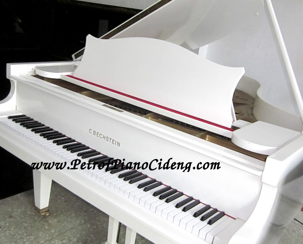 Piano C.Bechstein